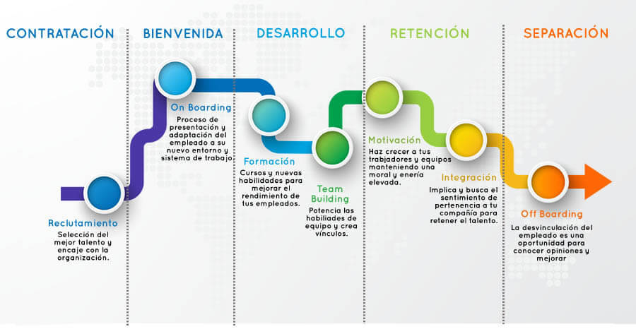 Ciclo de Vida del trabajador