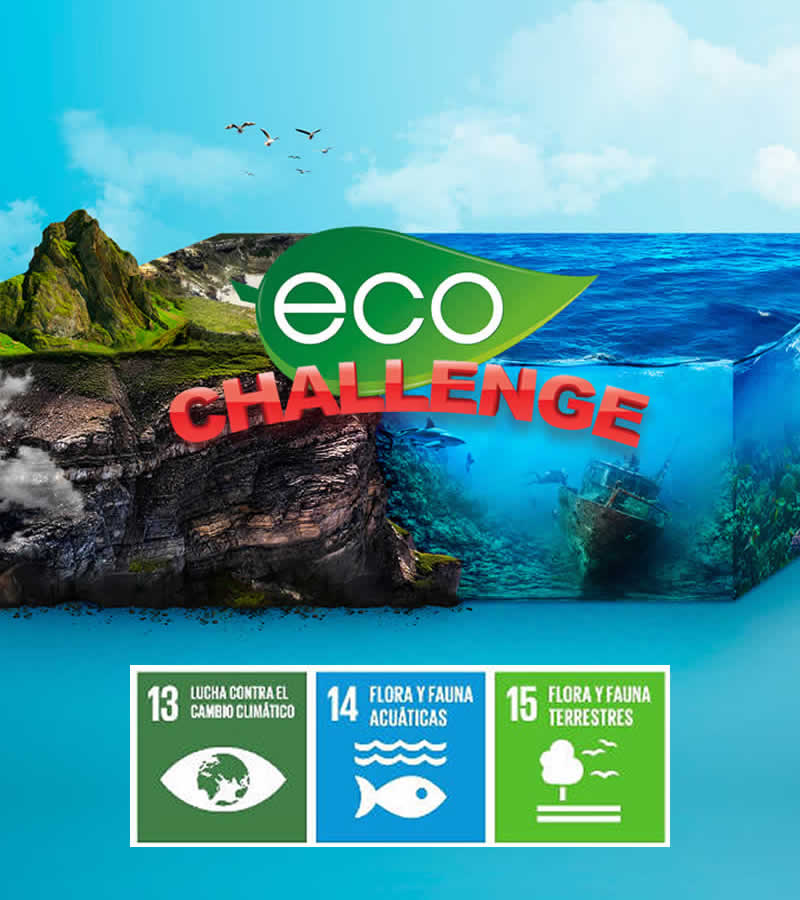 Team building online